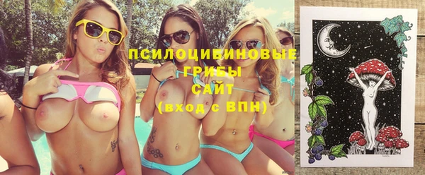 стаф Абдулино