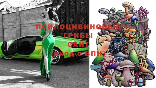 стаф Абдулино