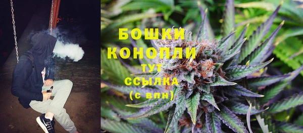 мяу мяу мука Абаза