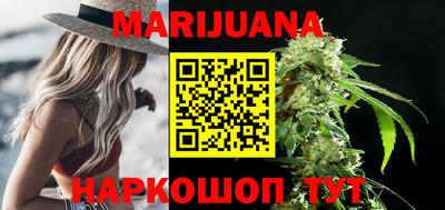 индика Рыбинск