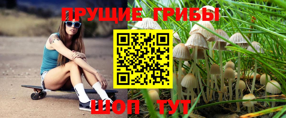 Псилоцибиновые грибы Magic Shrooms  Вход с VPN  Уварово 
